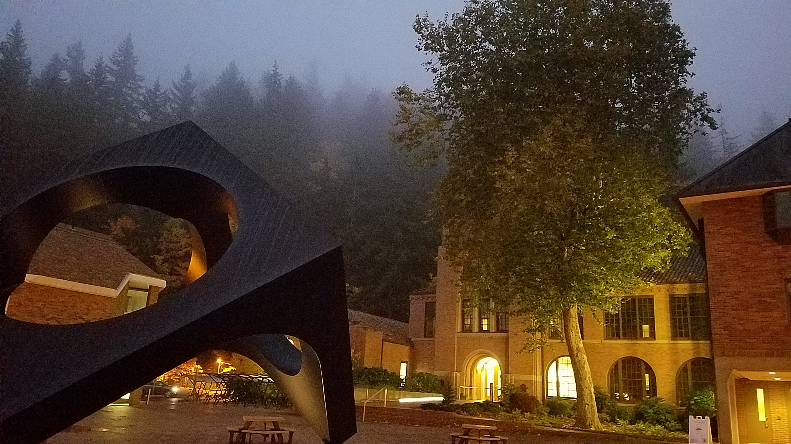 View of Miller Hall in the fog