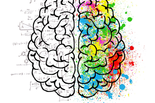 A drawing of a brain, where the left side has equations and logic on top and the right half has multi-colored paint splatters