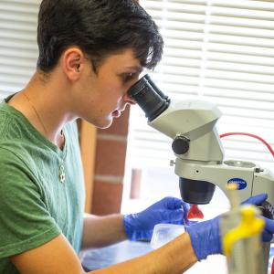 A Student in a green t-shirt looks into a microscope